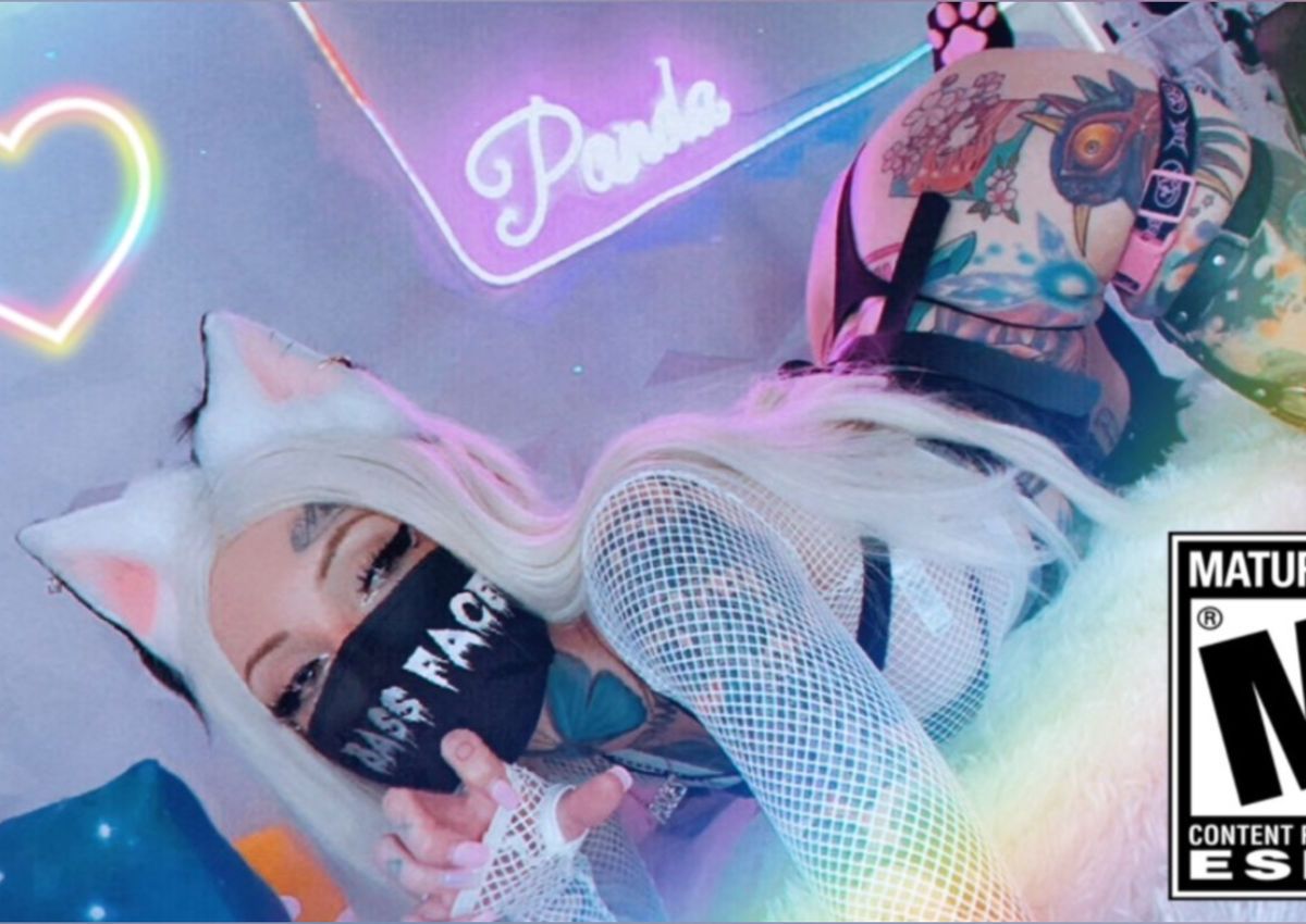 nintendopanda banner