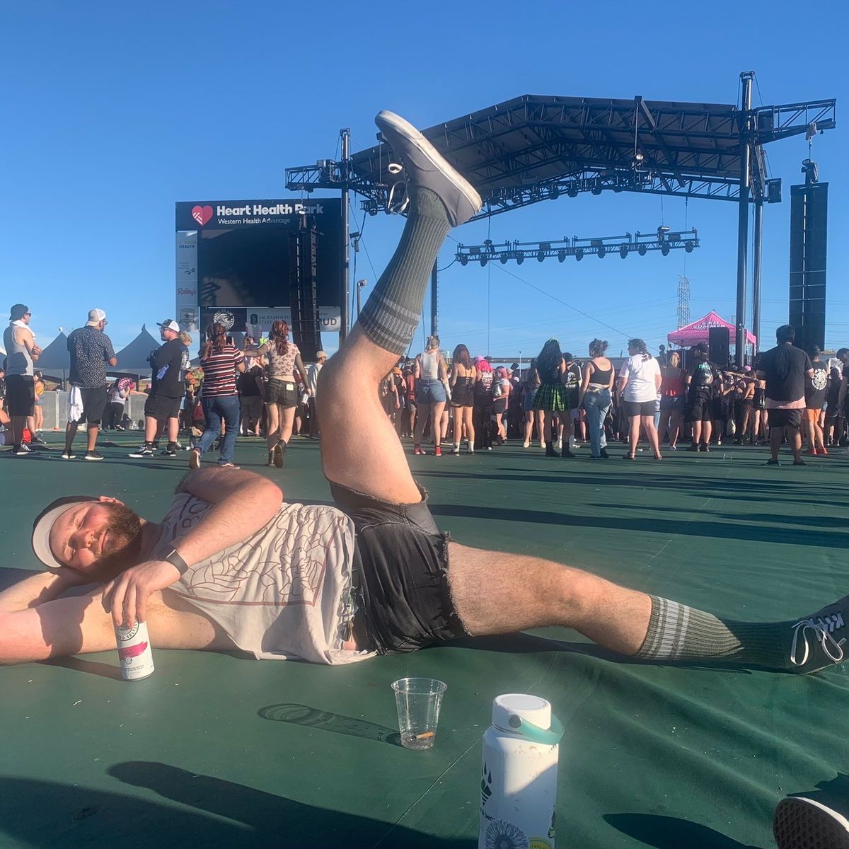 nonviolentbear banner