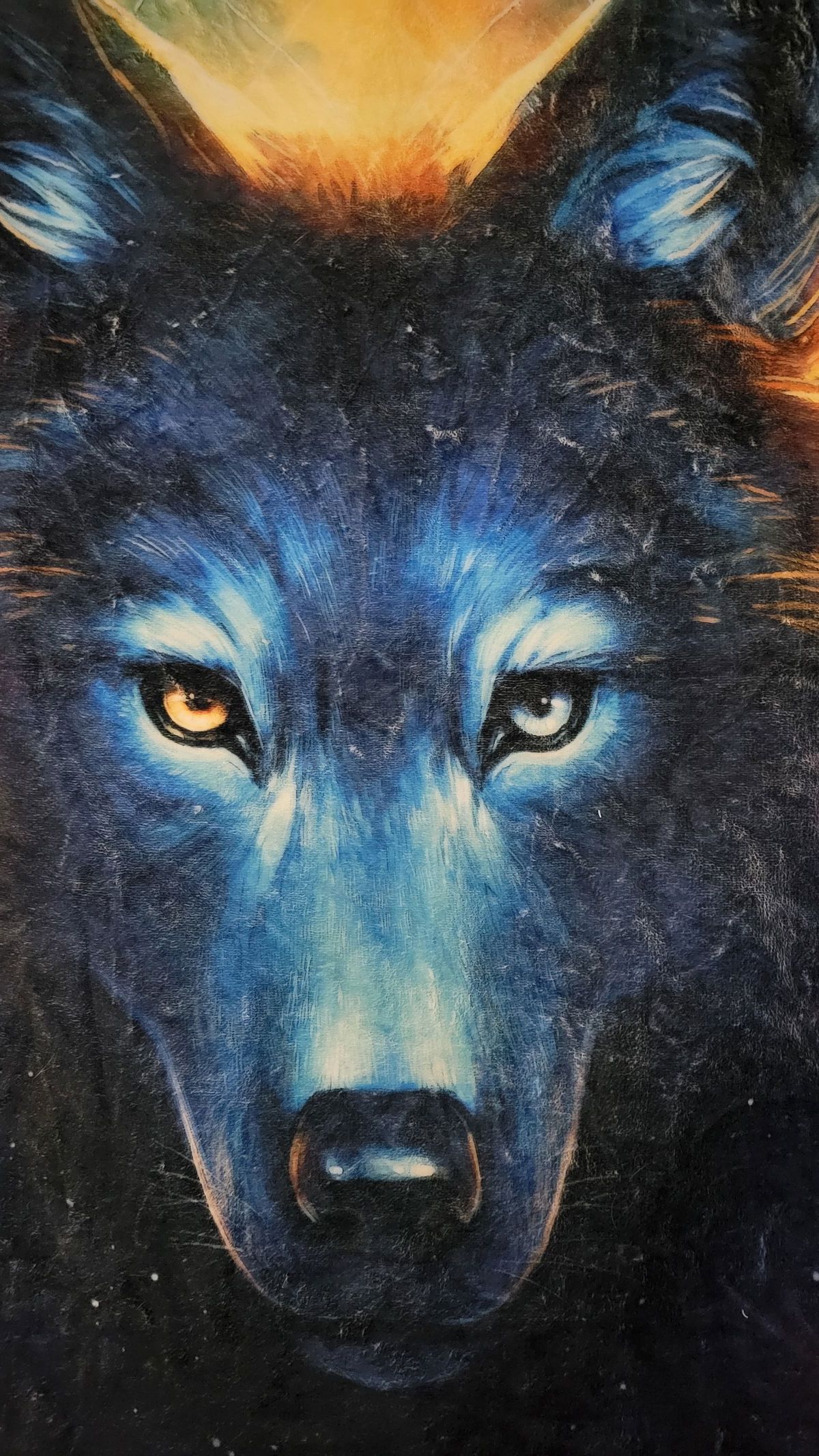 northernsnow2021 banner