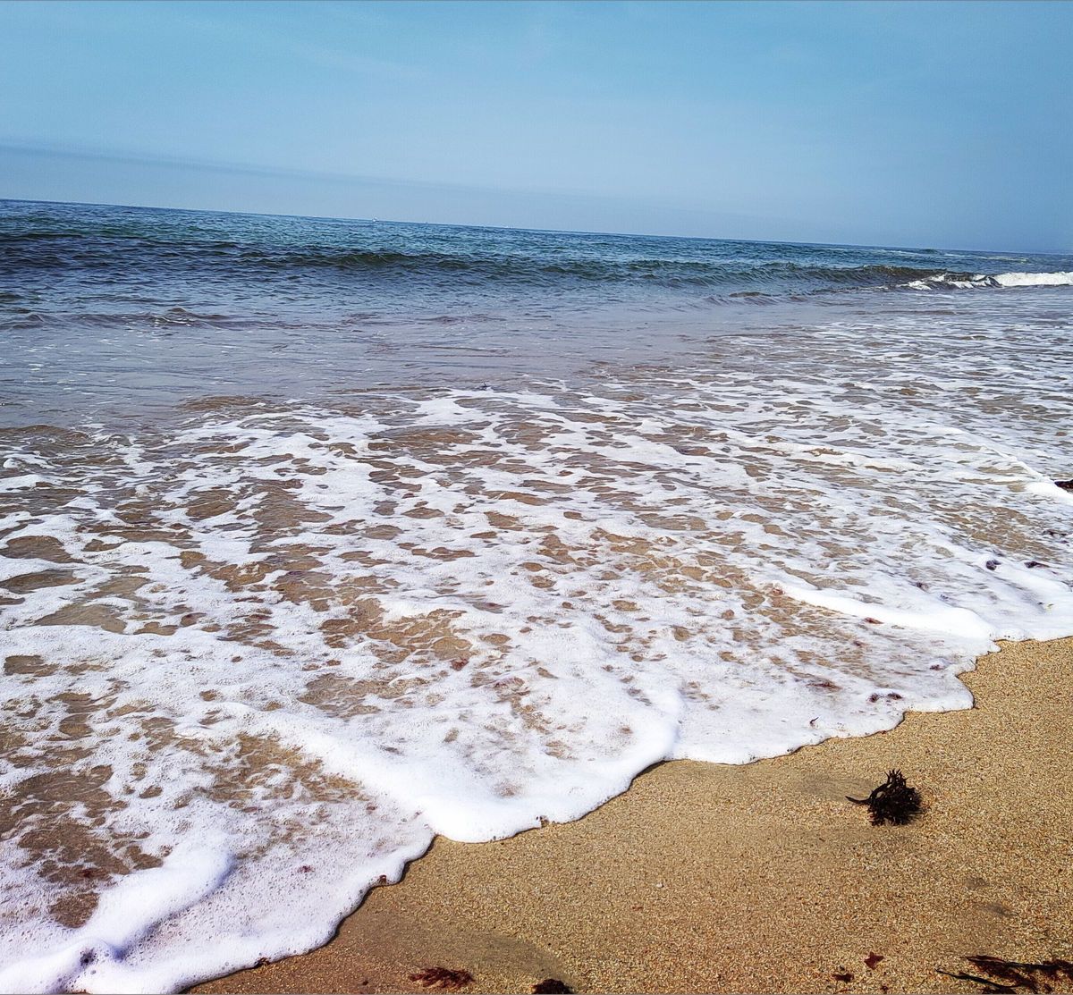 originalsaltybeach banner