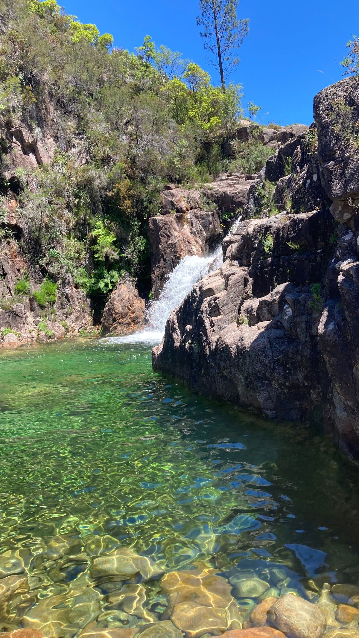 petiteasiantravels banner