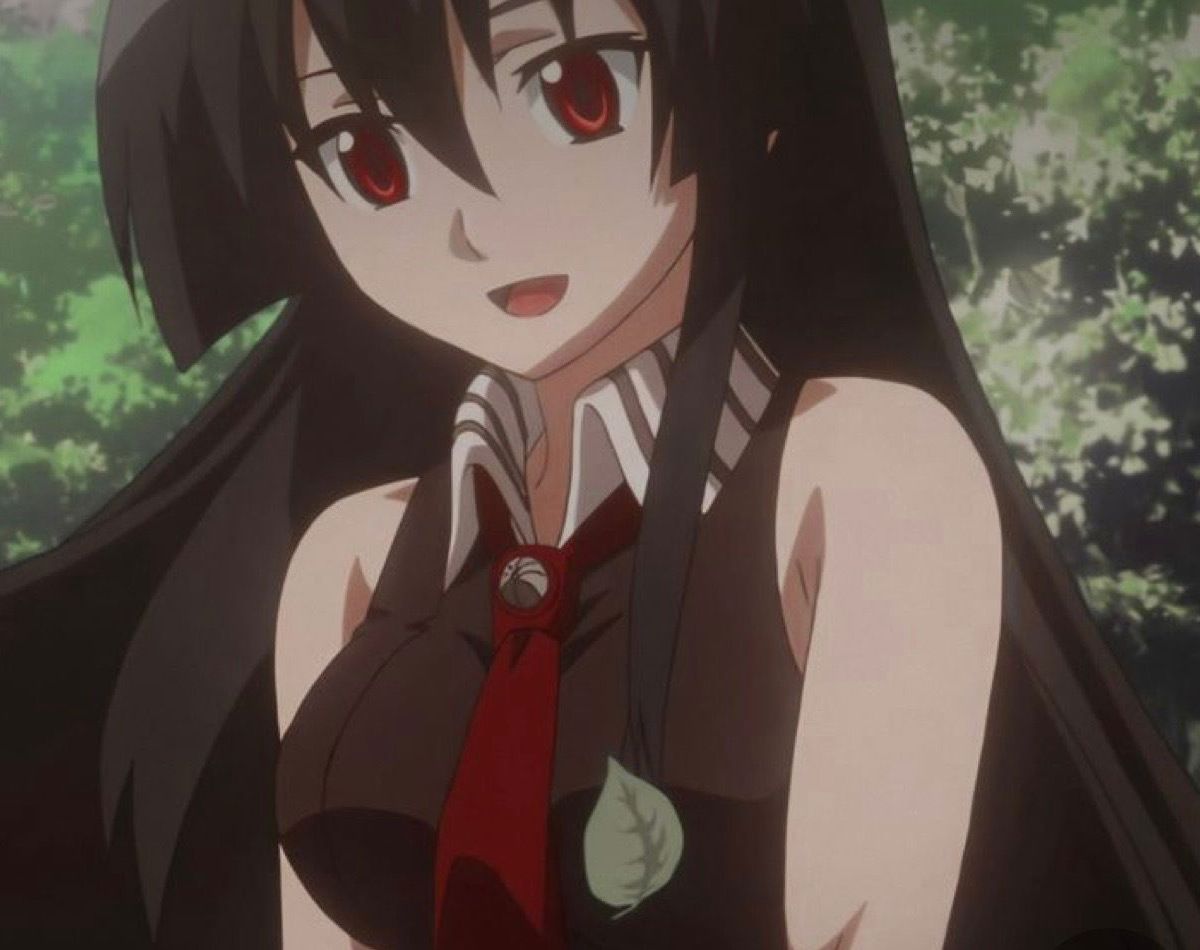 petitelatina7 banner