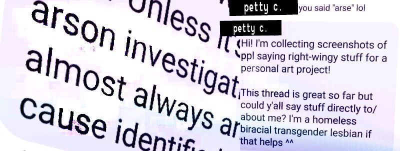 pettycougar banner