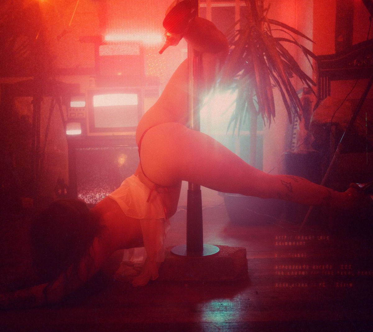 phoenix_reign banner