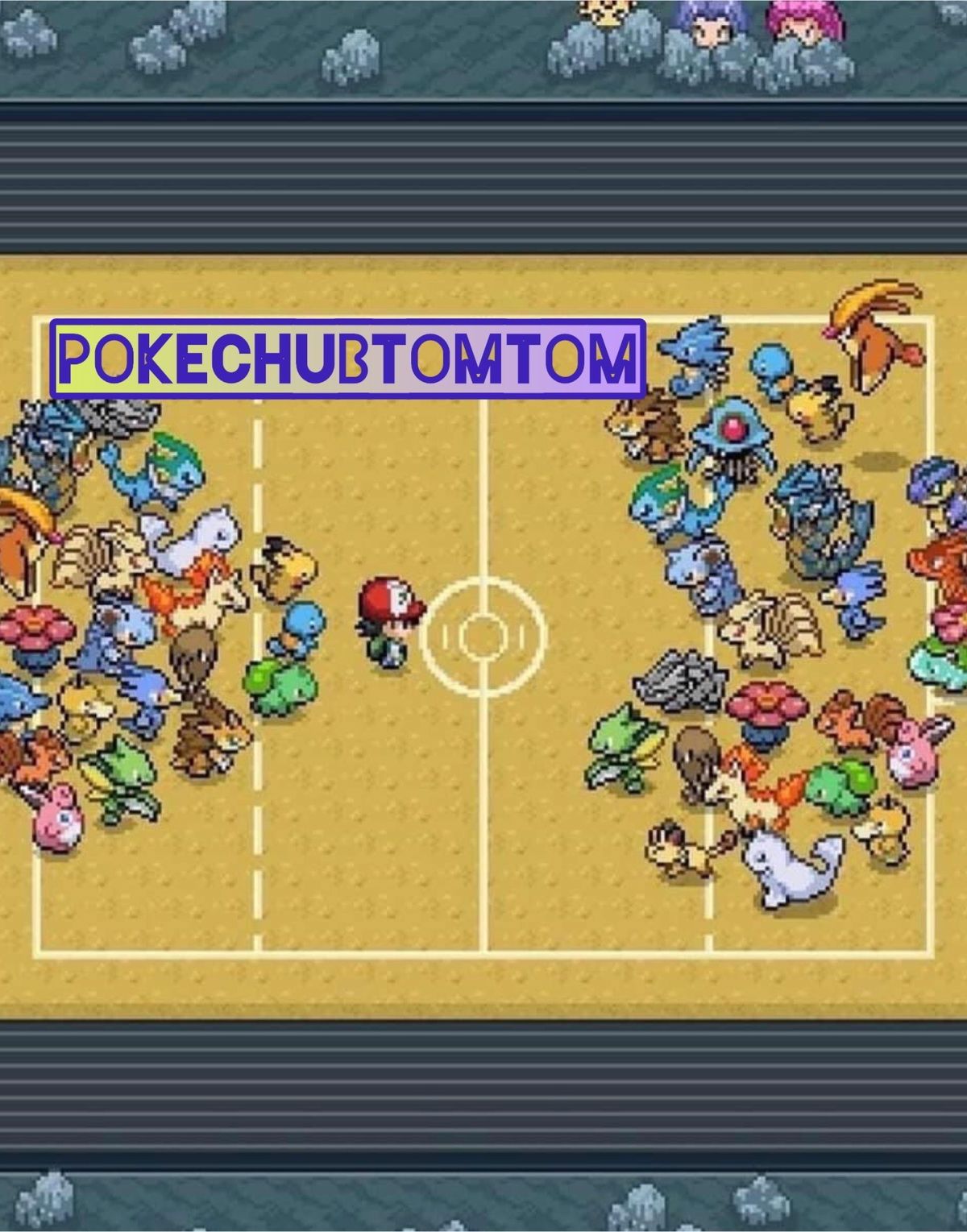 pokechubtomtom banner