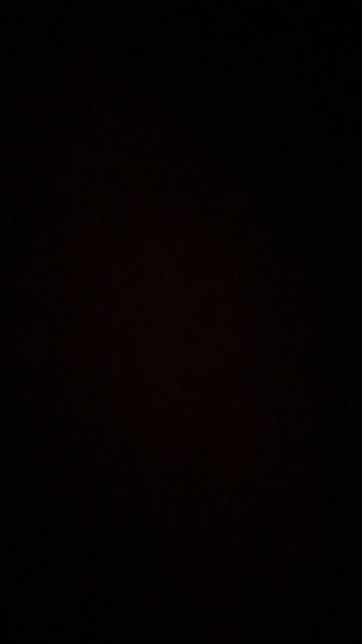 primrosebelle banner