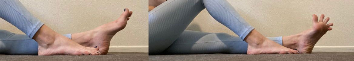 princessbellafeet banner