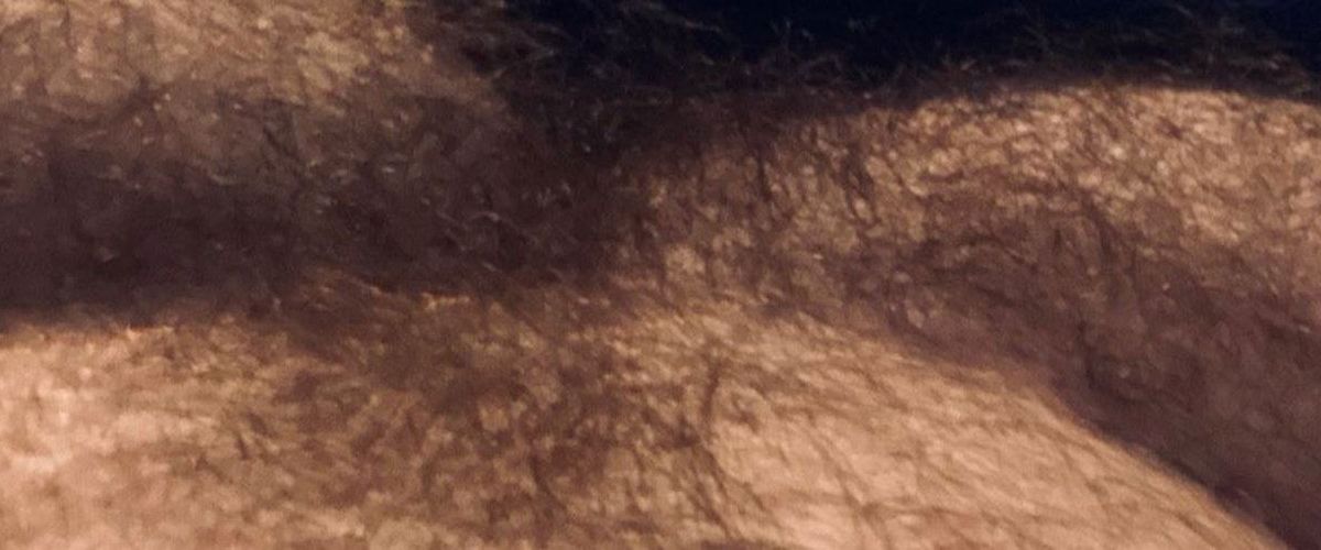 redbearded_88 banner