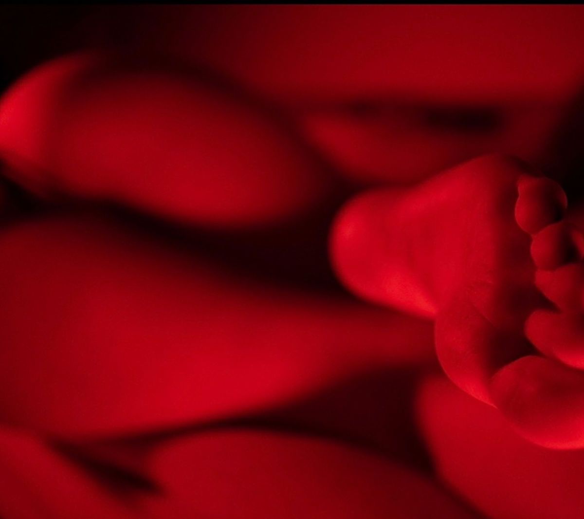 sacredtrinity banner