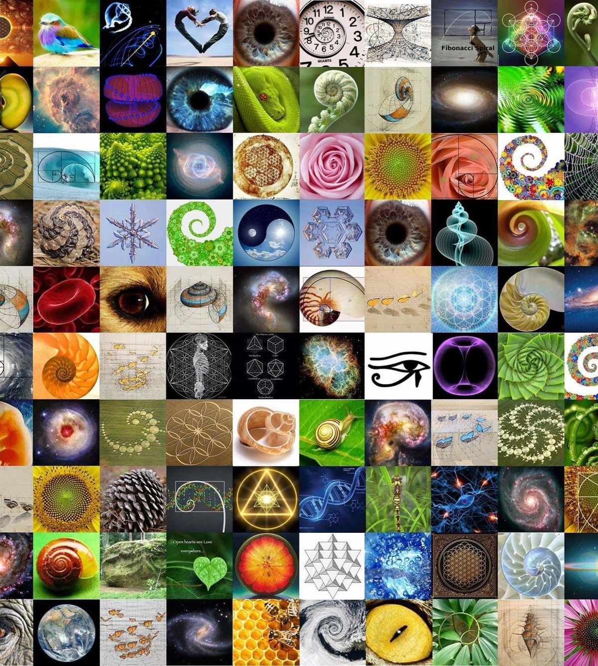 samiparkerxxx banner