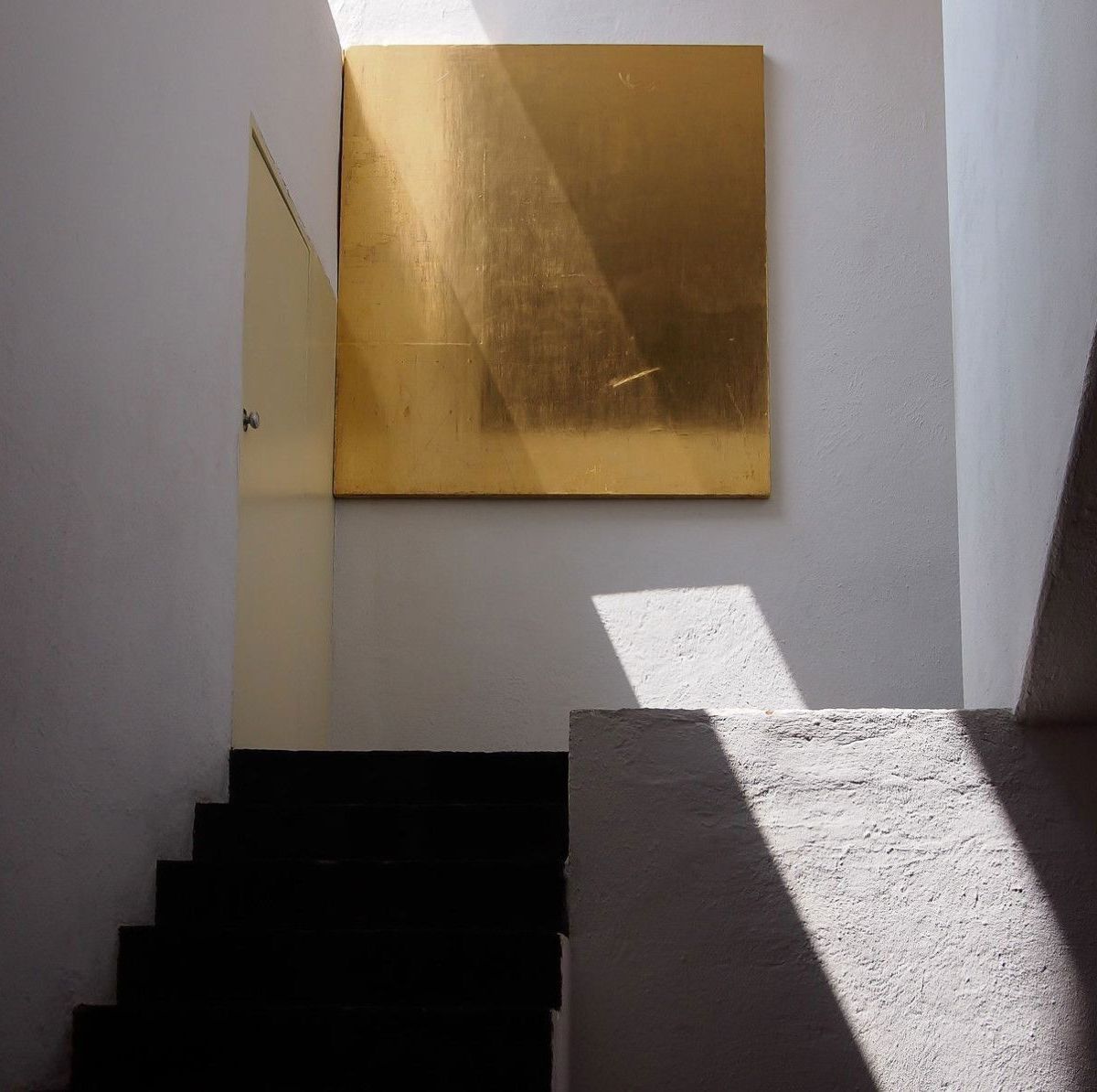 savagepapillon banner