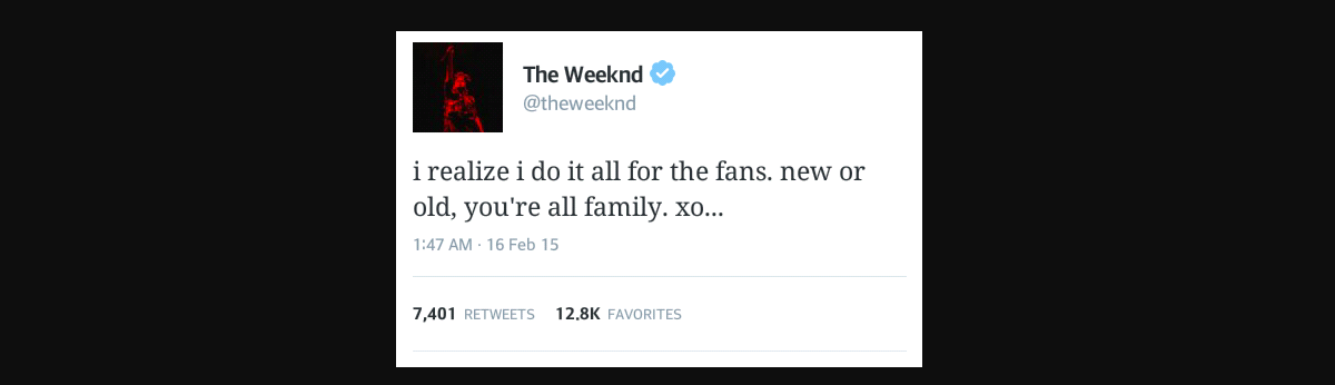 shakywarriorprincess banner