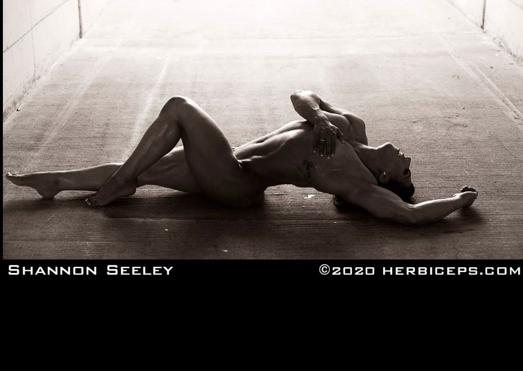 shannonseeley banner