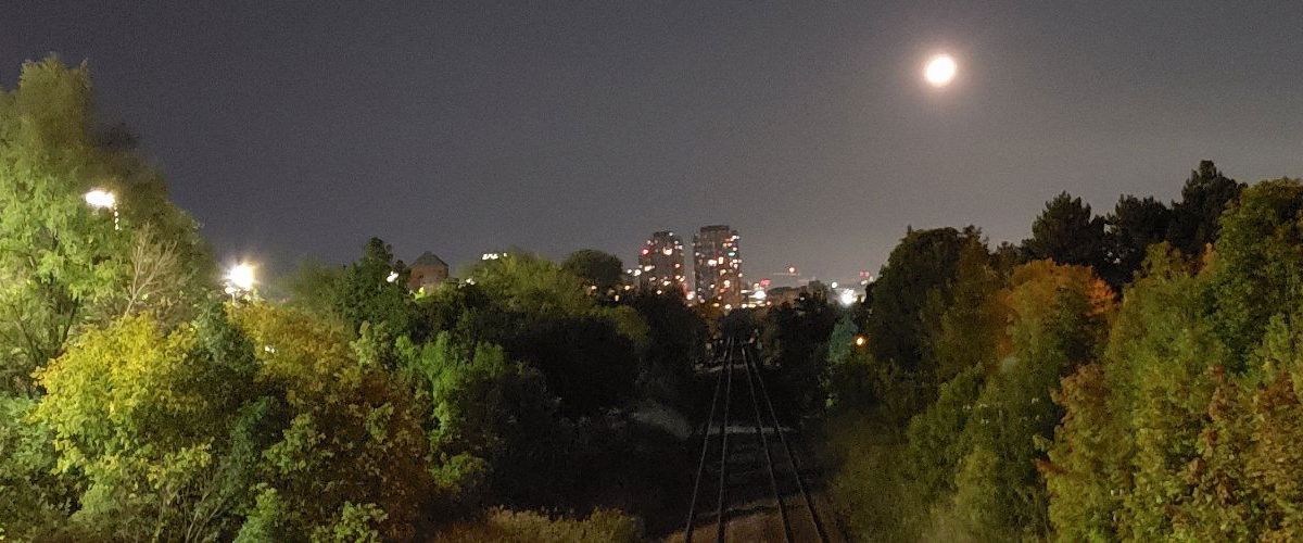 shemalevictoria banner