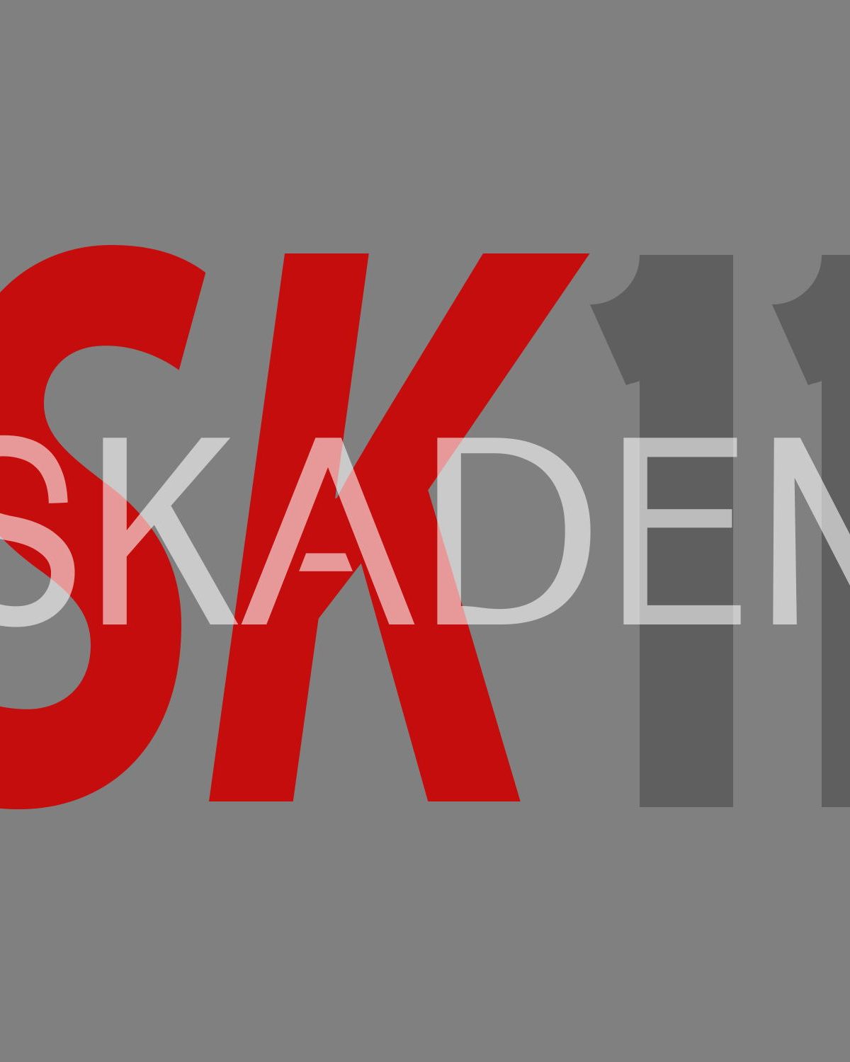 skaden11 banner