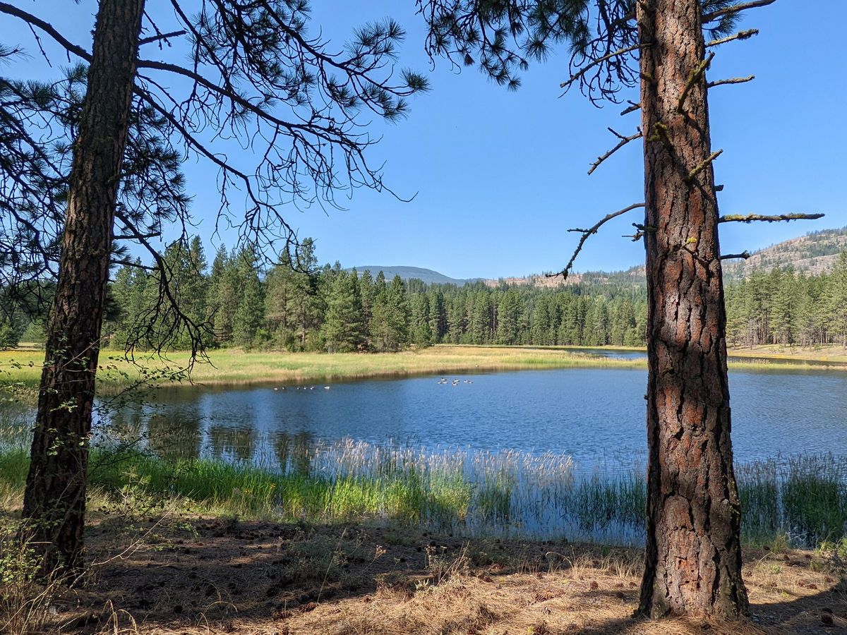 smoothsailingsharid banner