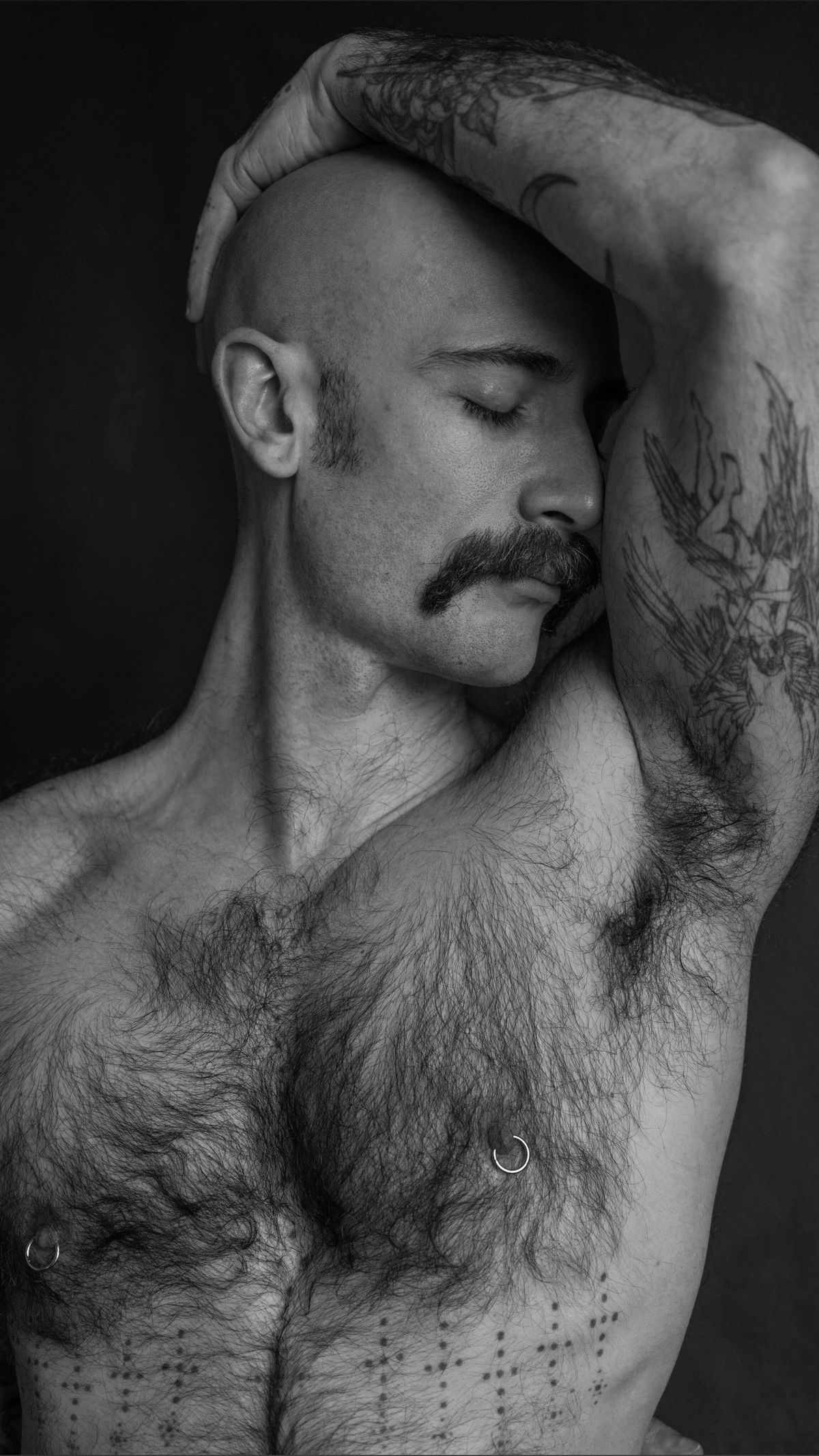 stephenhartexxx banner