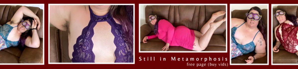 stillinmetamorphosis banner