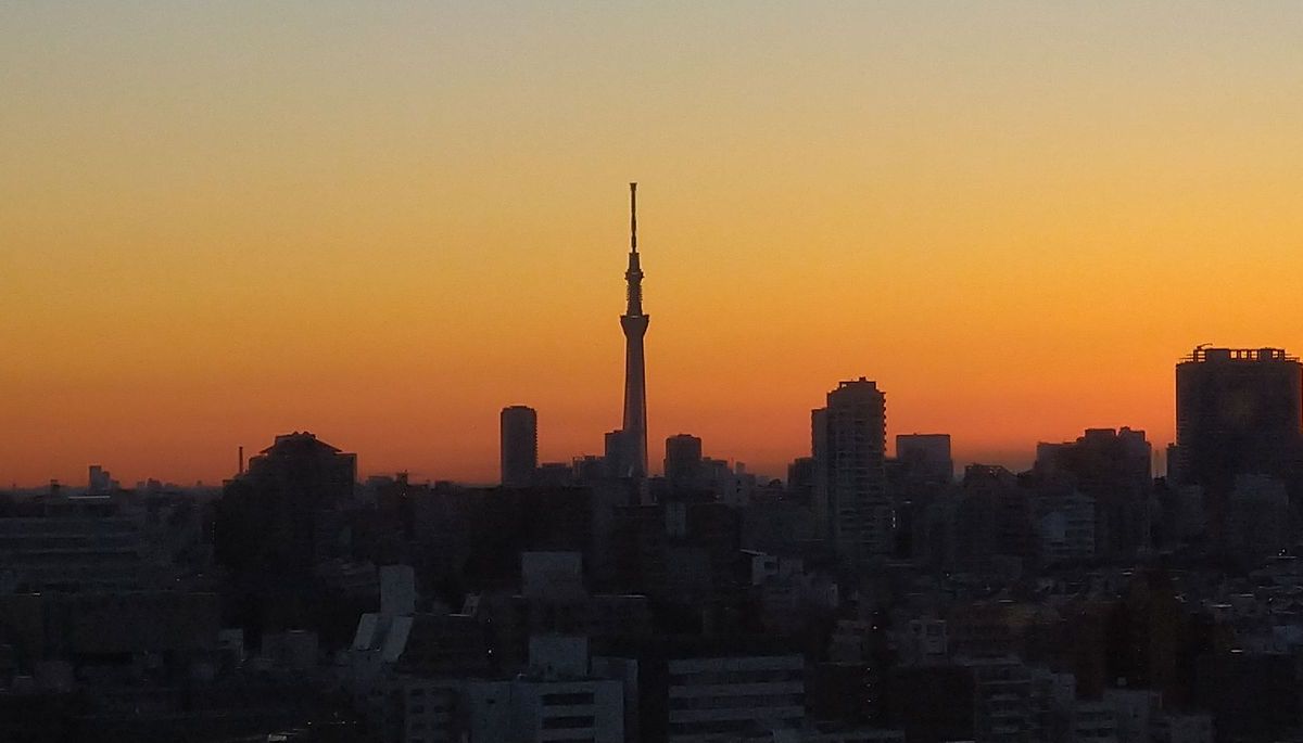 svbfzkf32rjce8i banner