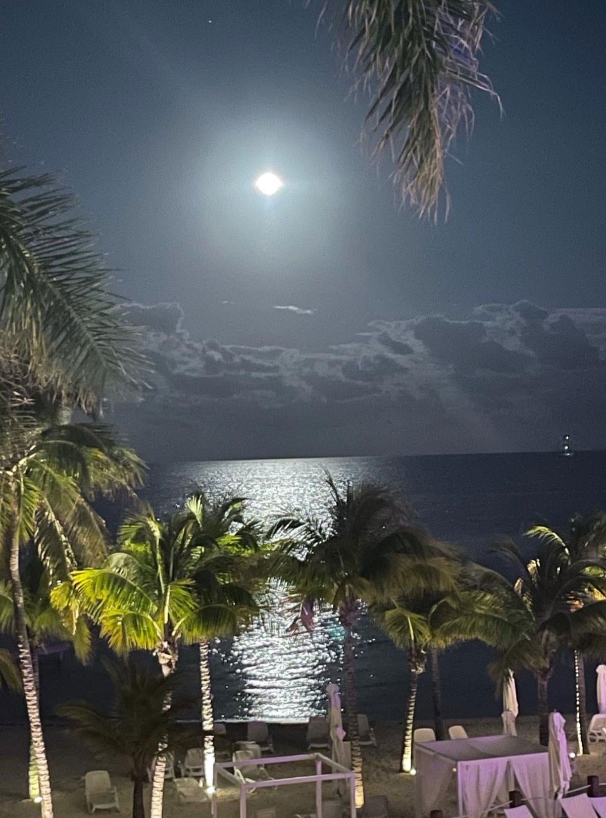 swingingpeaches banner