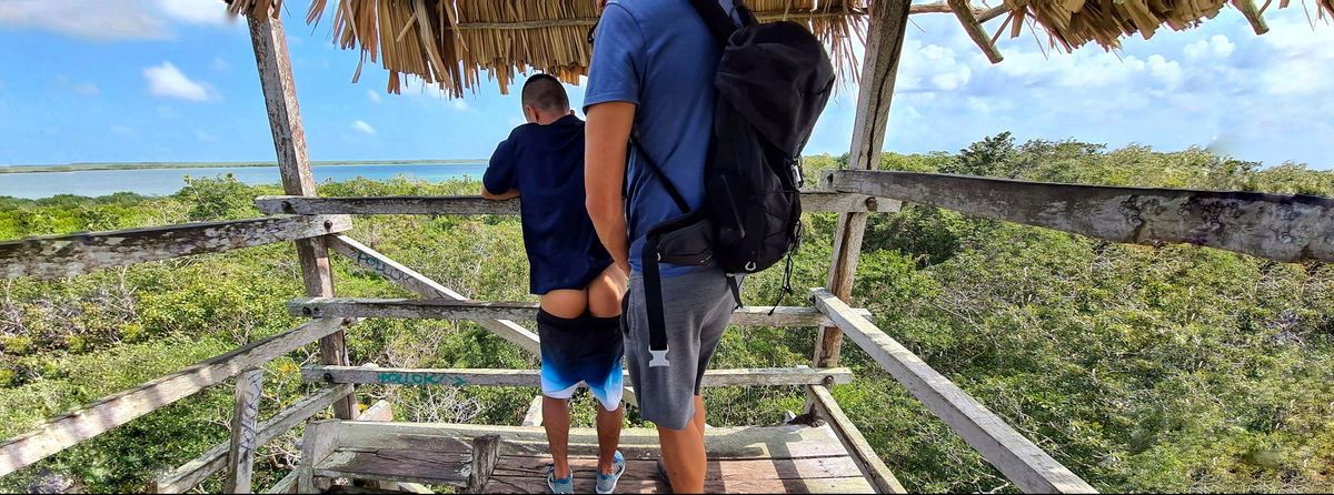 tallgermantop banner