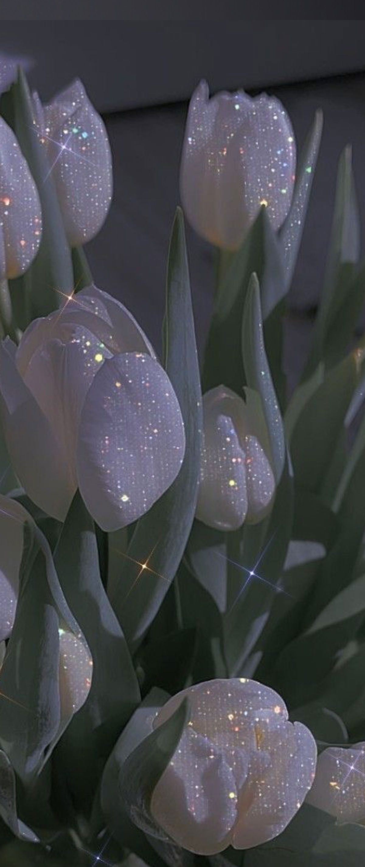 tattedbaddie67 banner