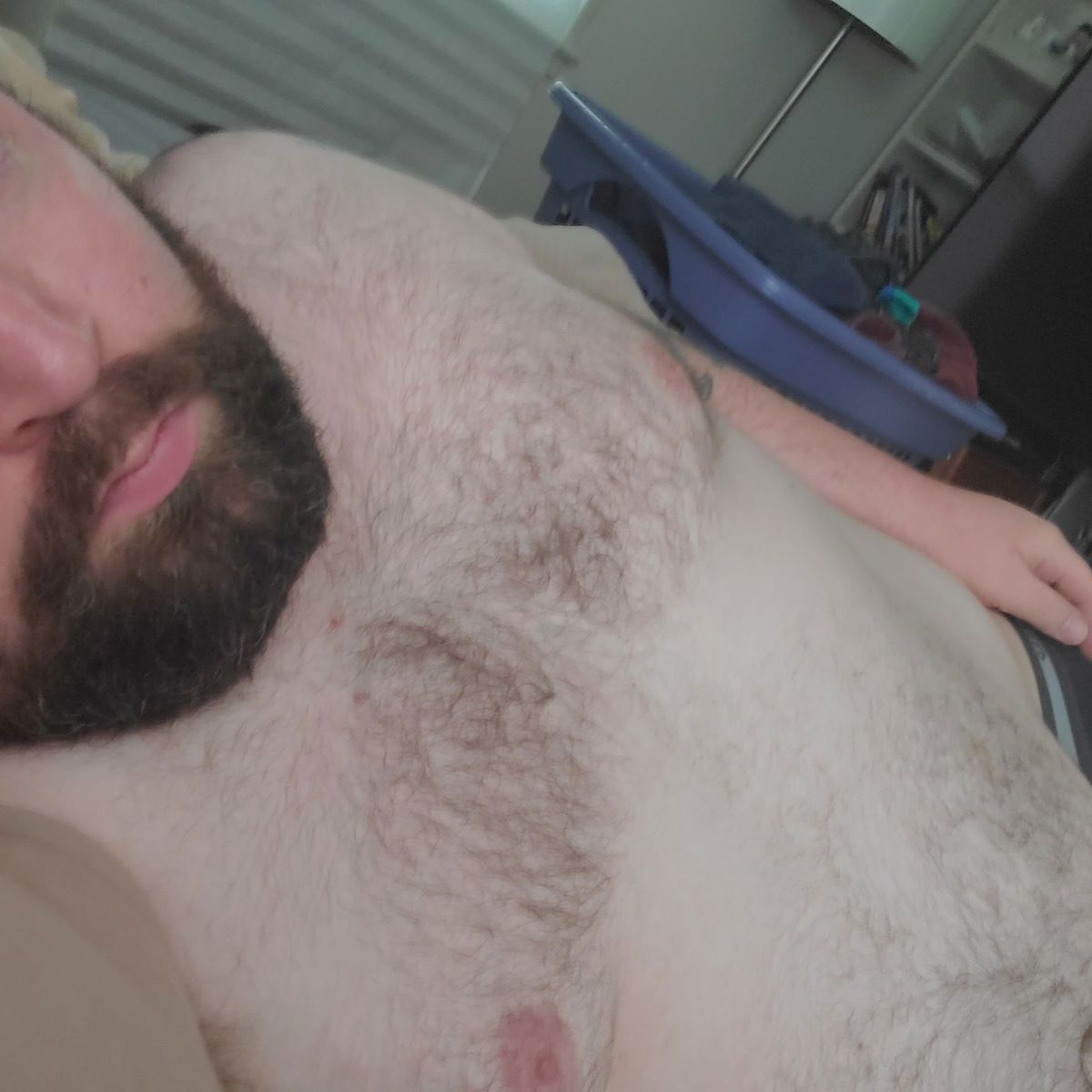 thebeardedbull banner