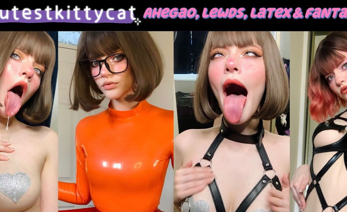 thecutestkittycat banner