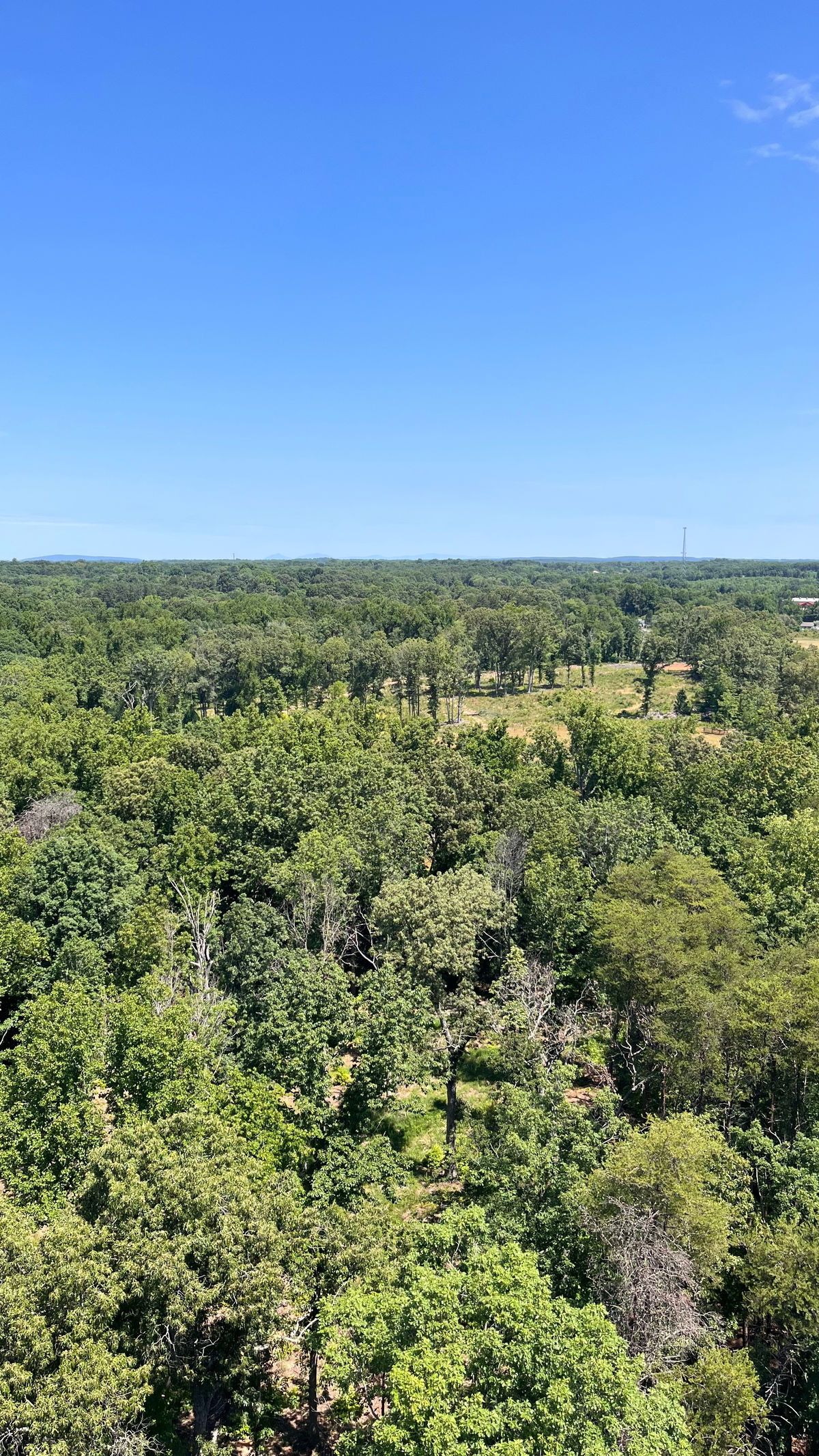 thedudeonlyfans banner