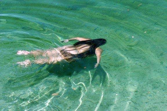 theferalfarmgirl banner