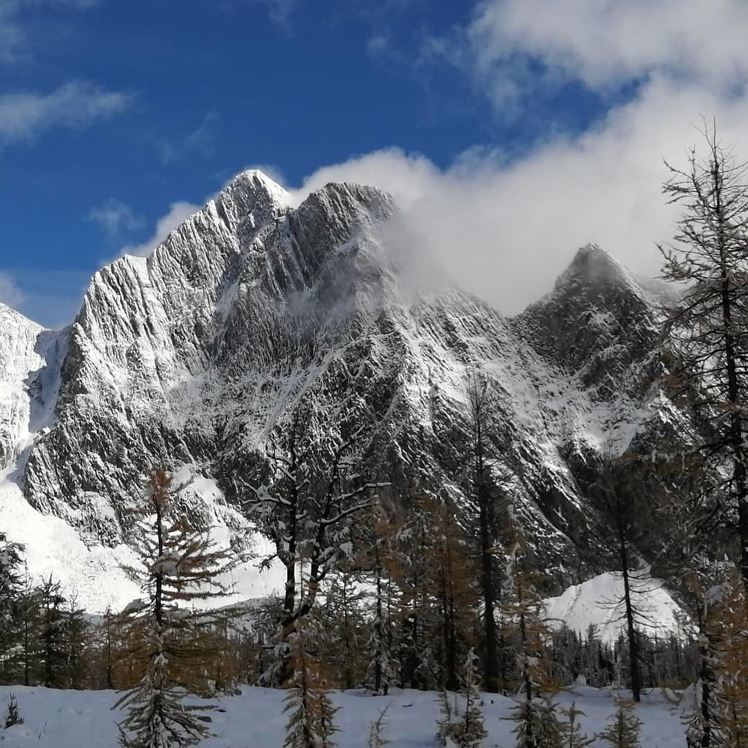 thehornyhandsomehippie banner