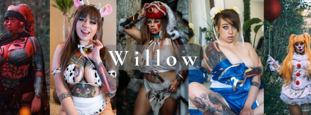 thelittlewillow banner