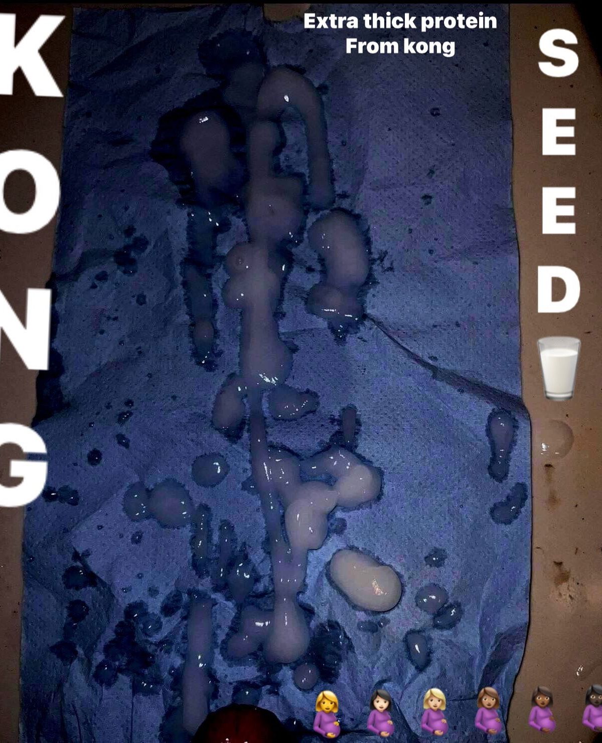 thenutkingkong banner