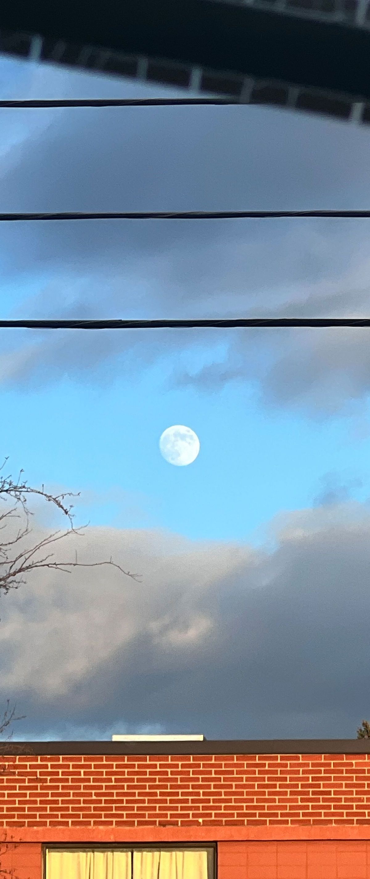 thereal.mariie banner