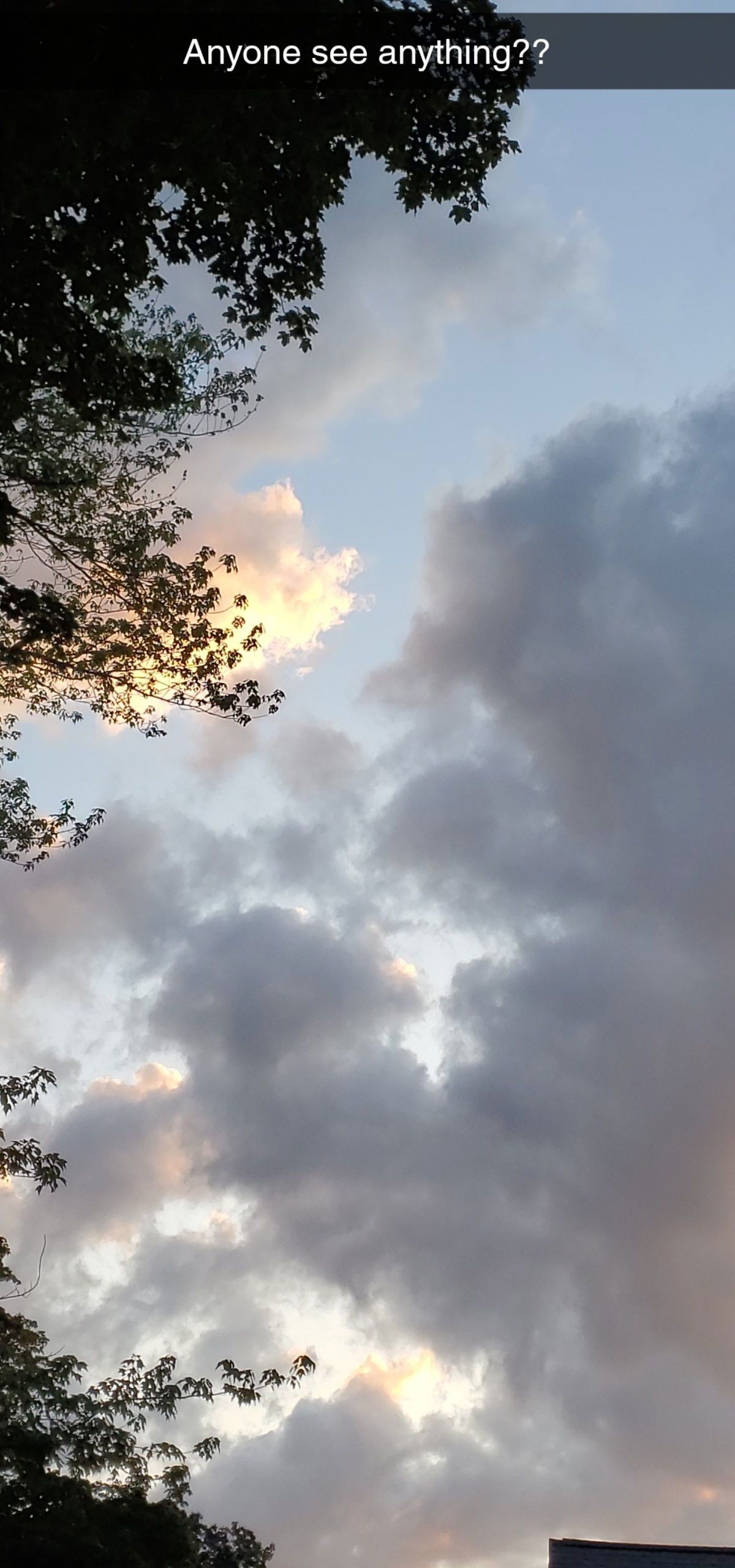 tinker-bell1331 banner