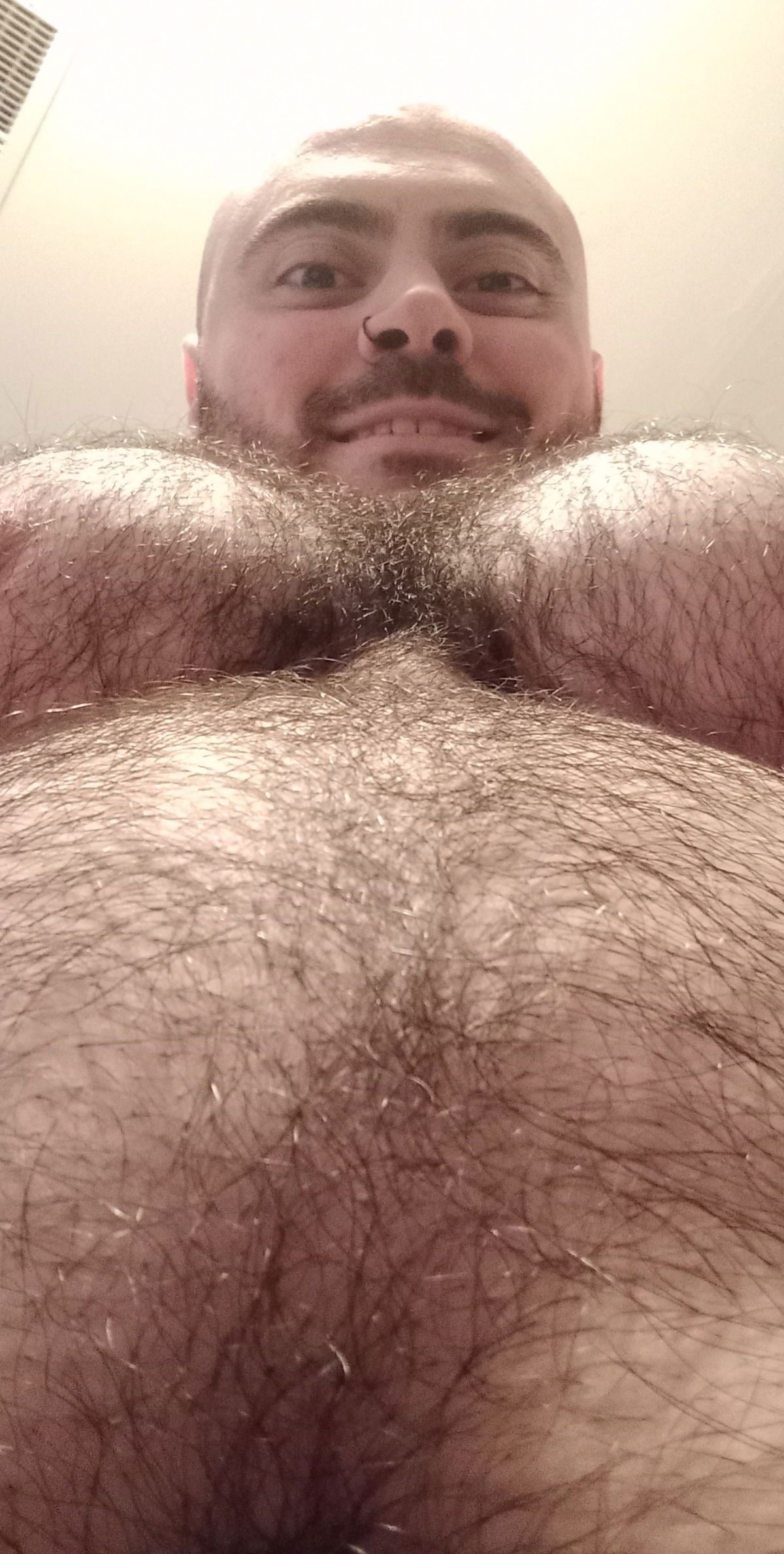 tooprettyfourprison banner