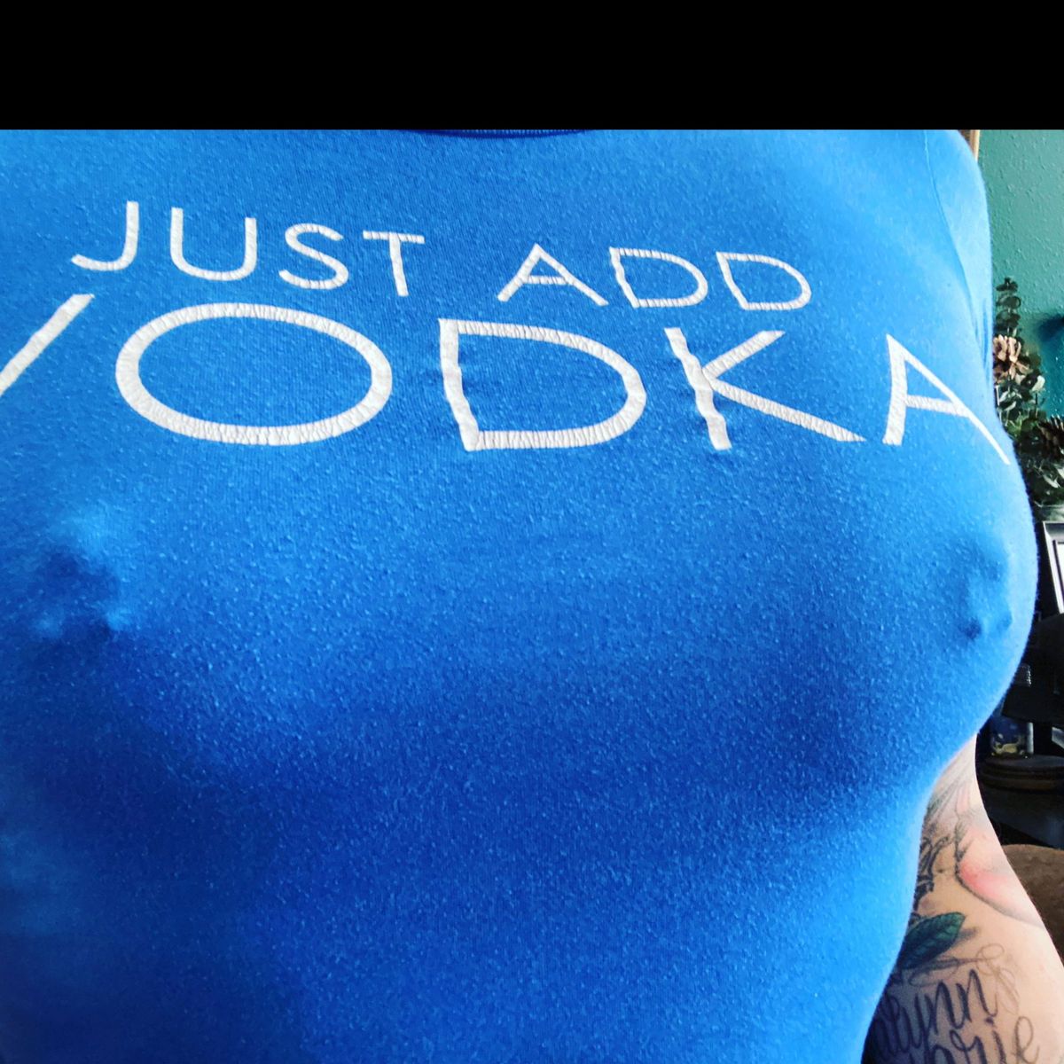 transmorphic_panink banner