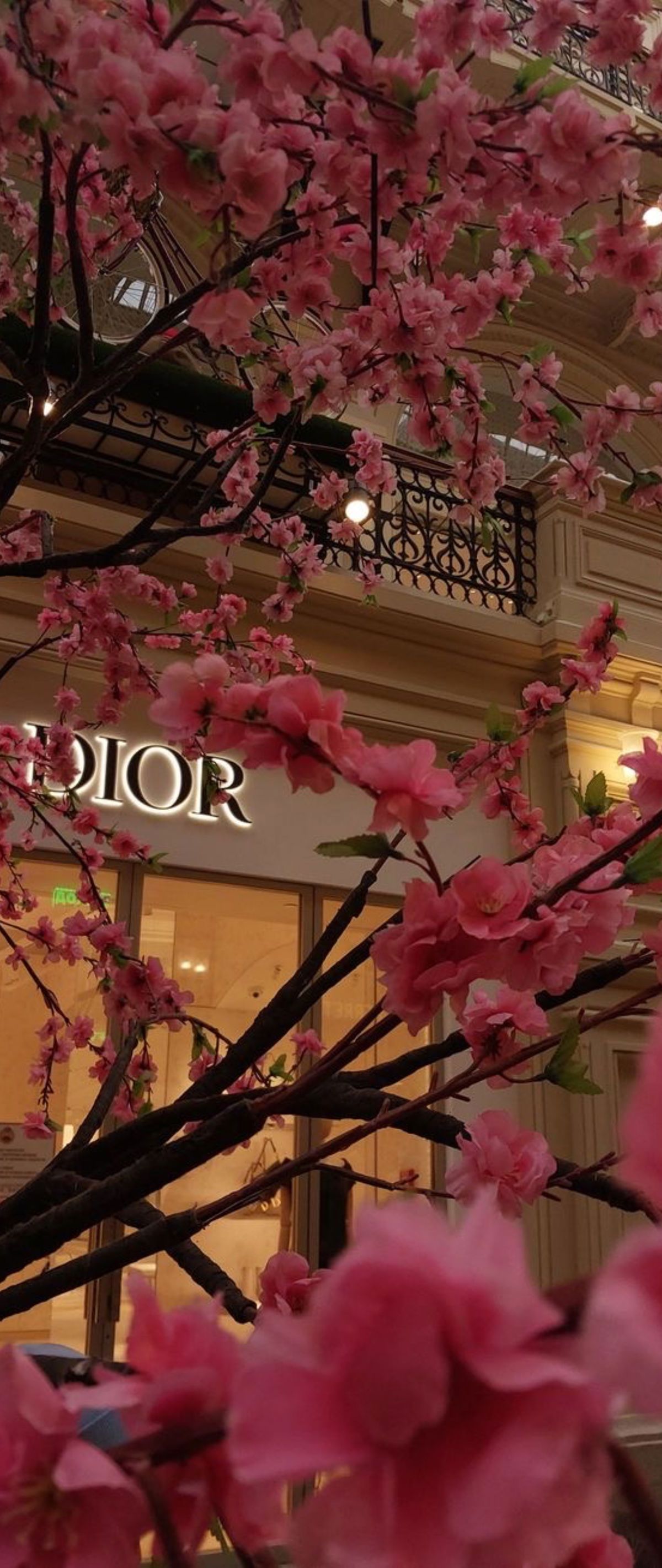 urfav.portuguesebabyy banner