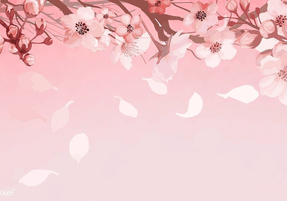 victoriasalvatore banner