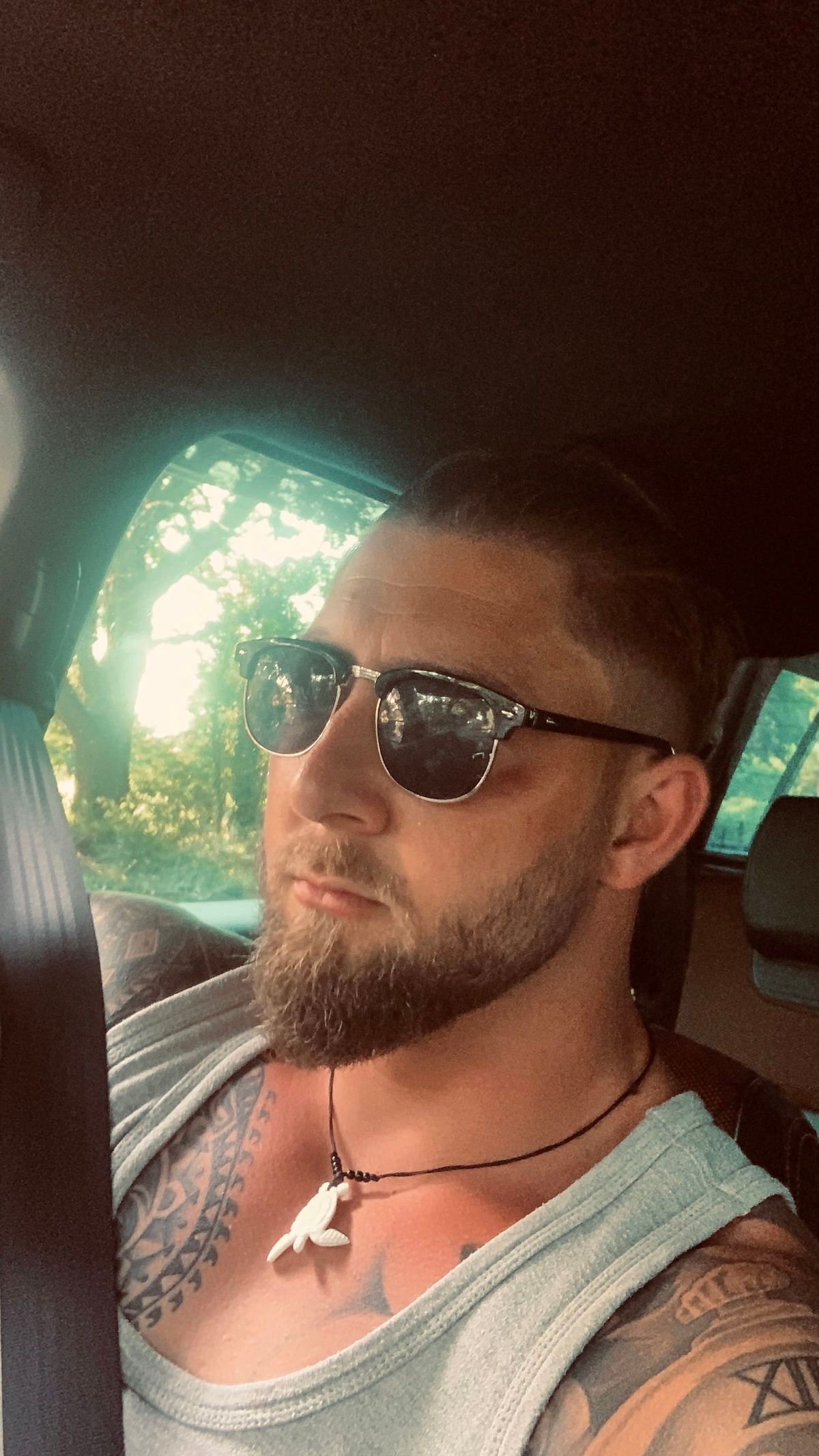 viking-harrison banner