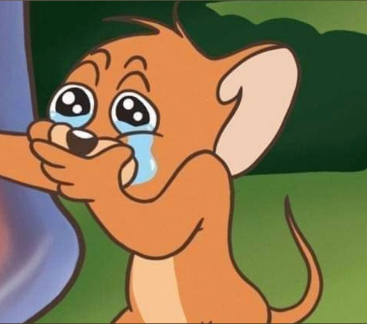 violettoosweett banner