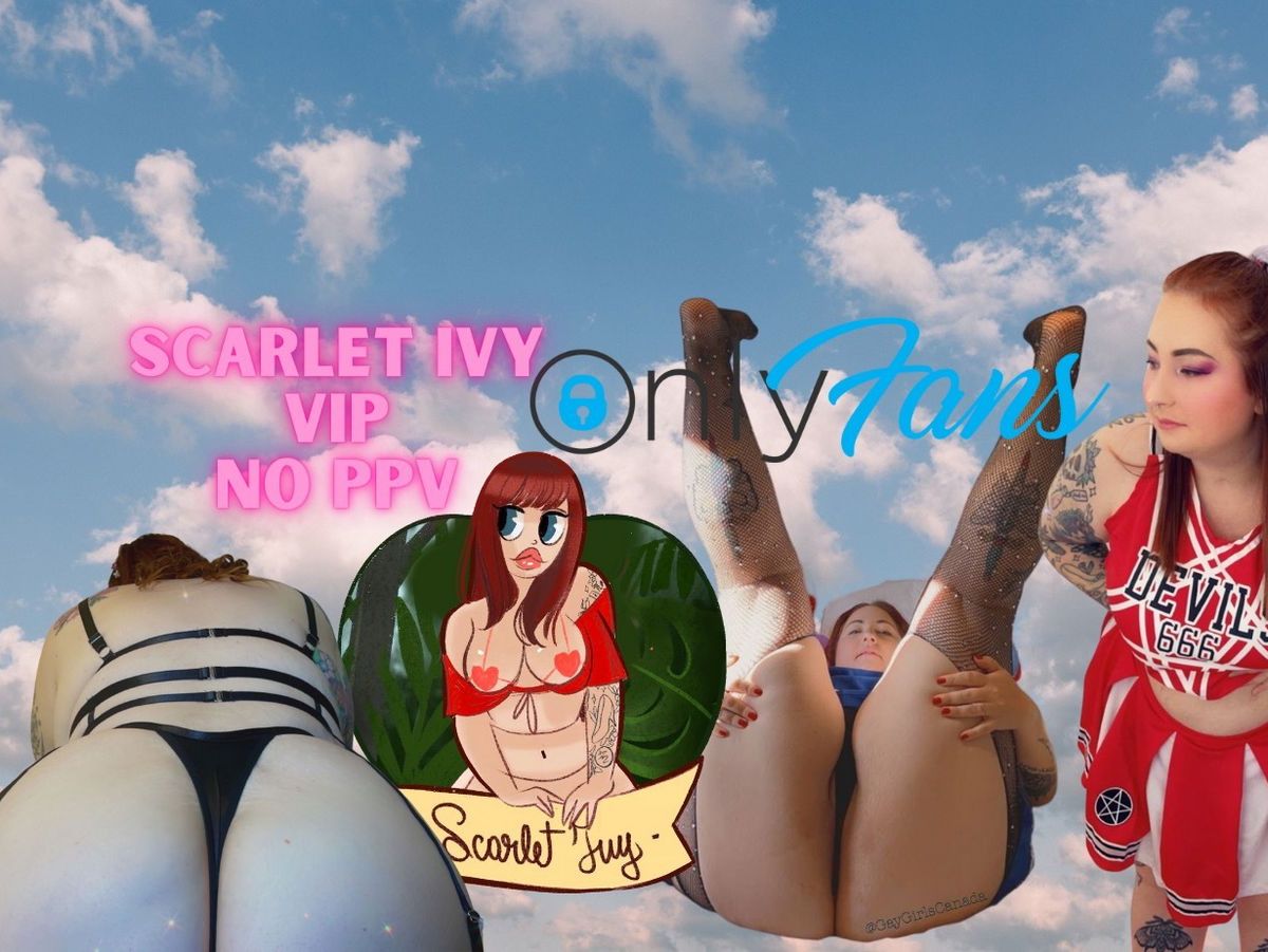 vipscarletivy banner