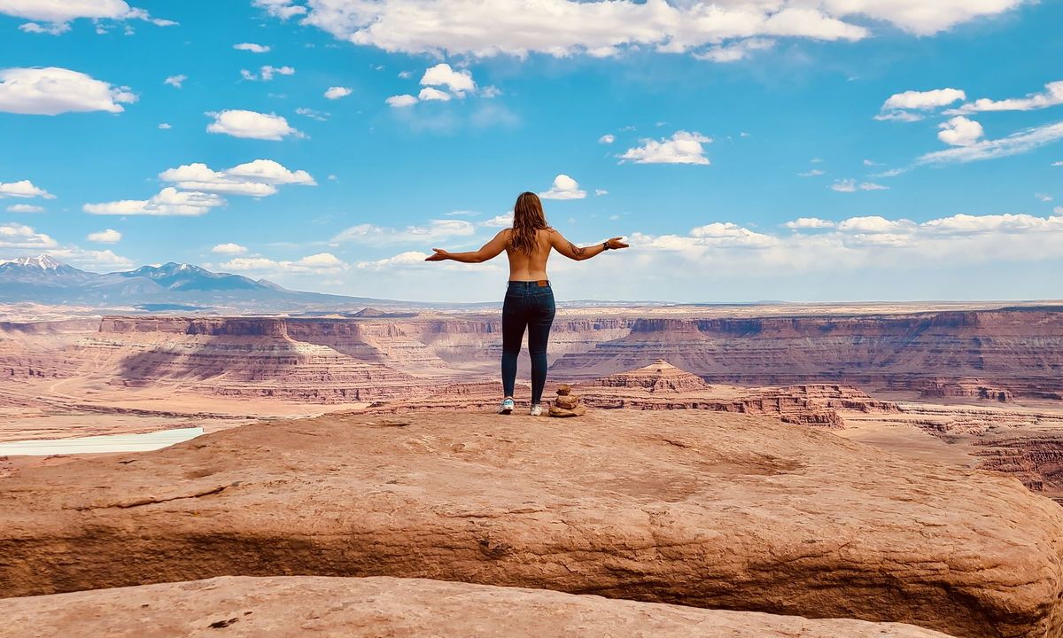 wingedbrick69 banner