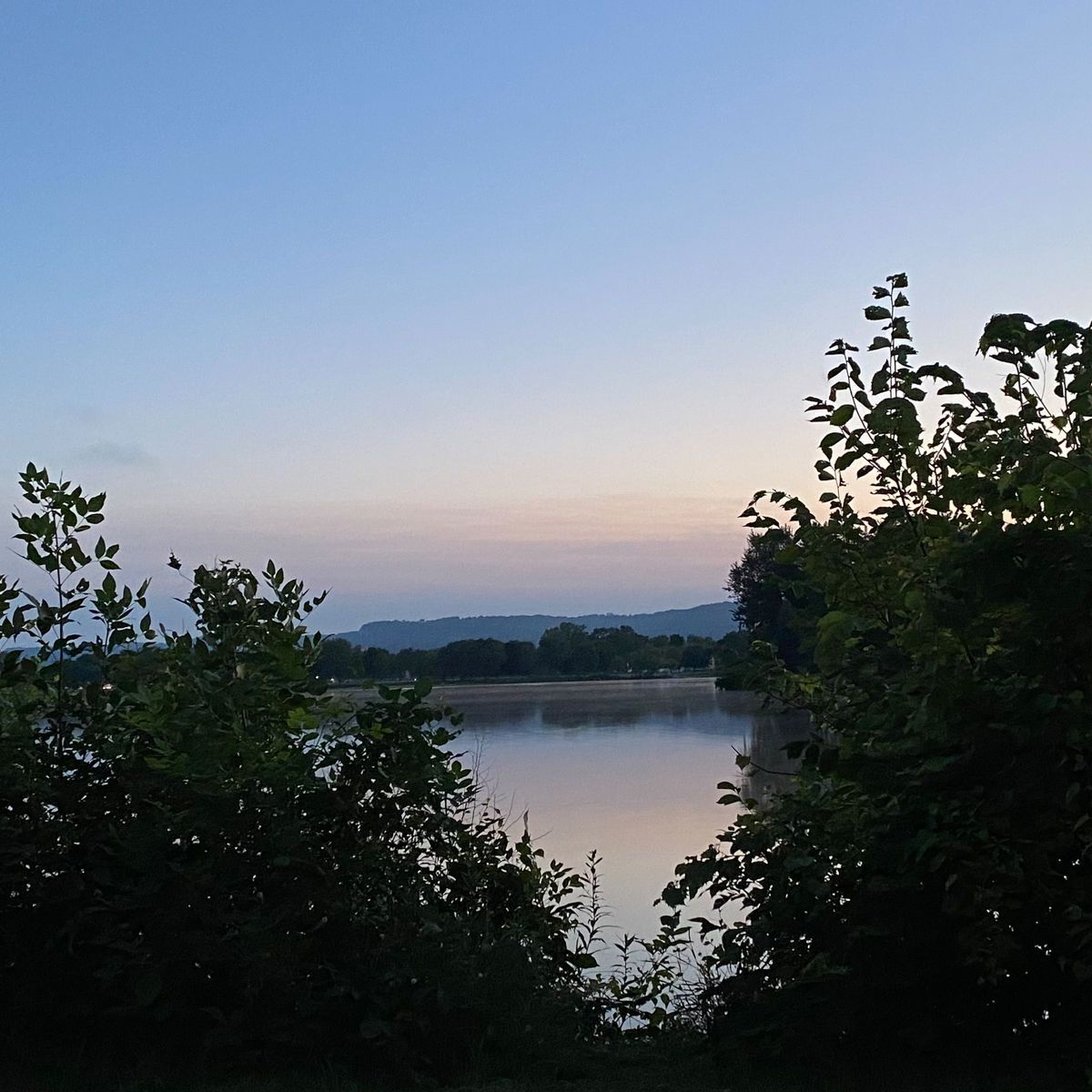 woodlandprncess banner