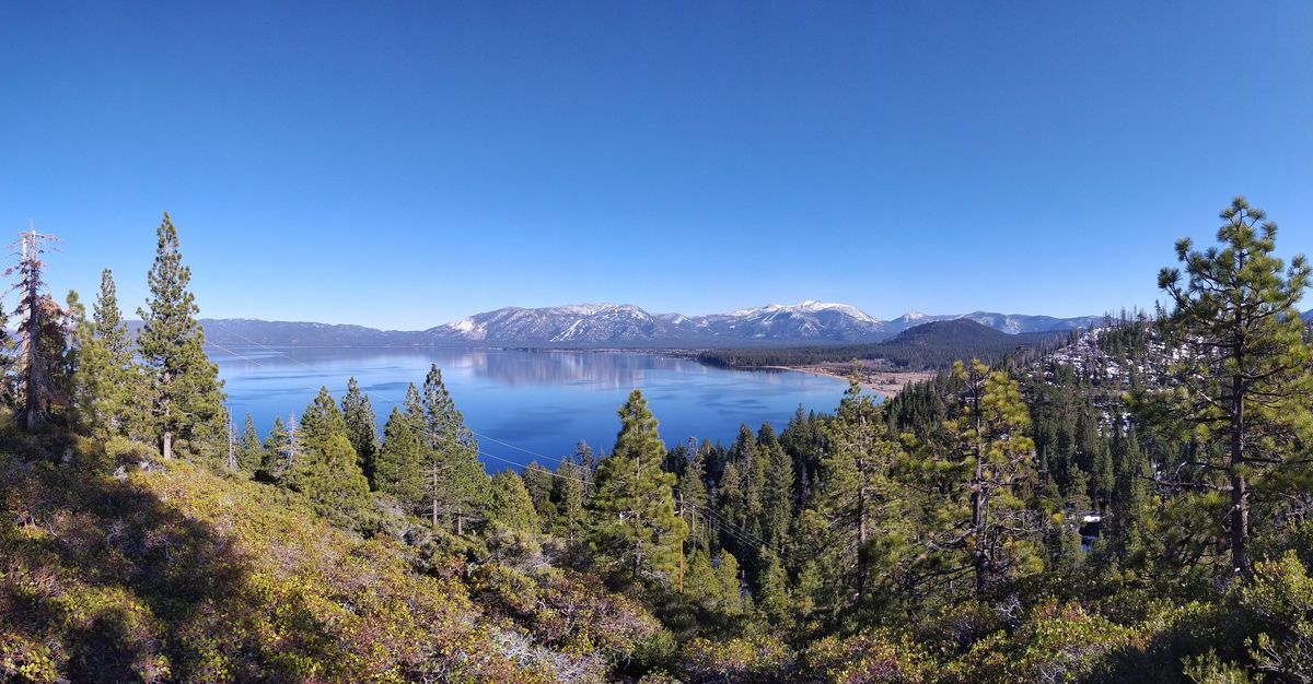 zeusray22free banner